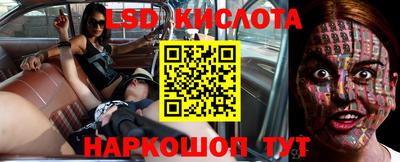 эйфоретик Славгород