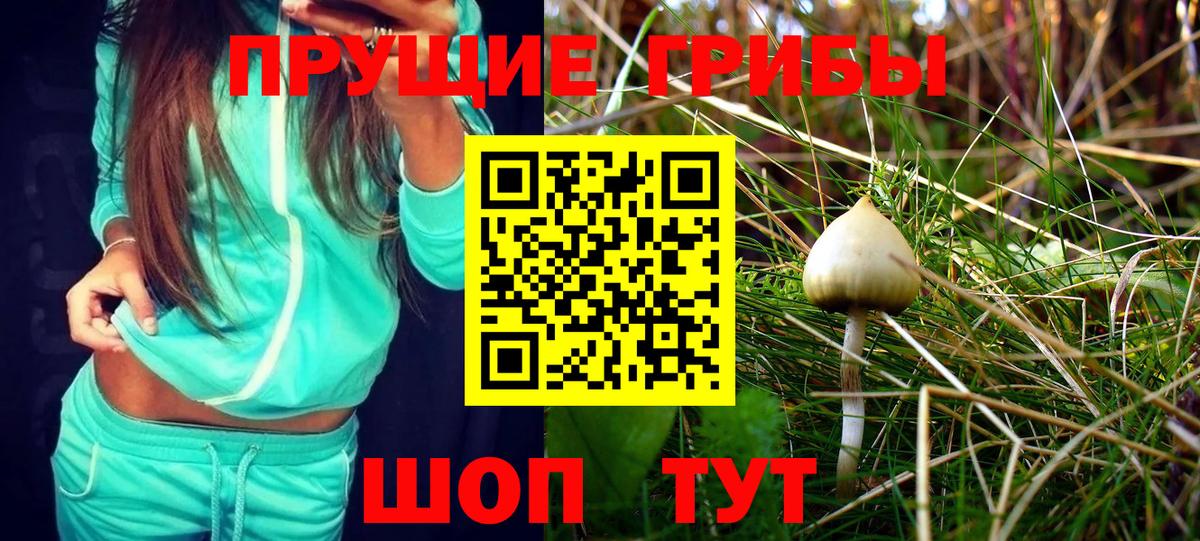 Прохладный  Галлюциногенные грибы Psilocybe  Вход с VPN 